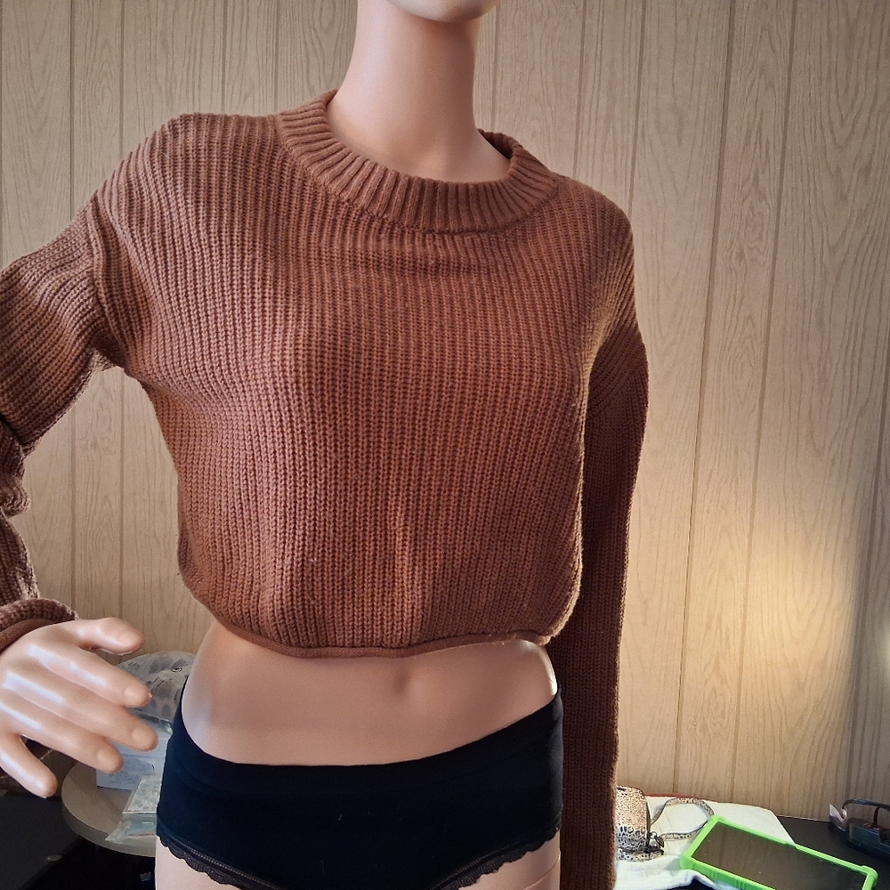 Wild Fable Tan Ribbed Crew Neck Cropped Sweater